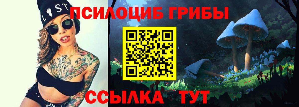 Ногинск  Псилоцибиновые грибы прущие грибы  Вход с VPN 